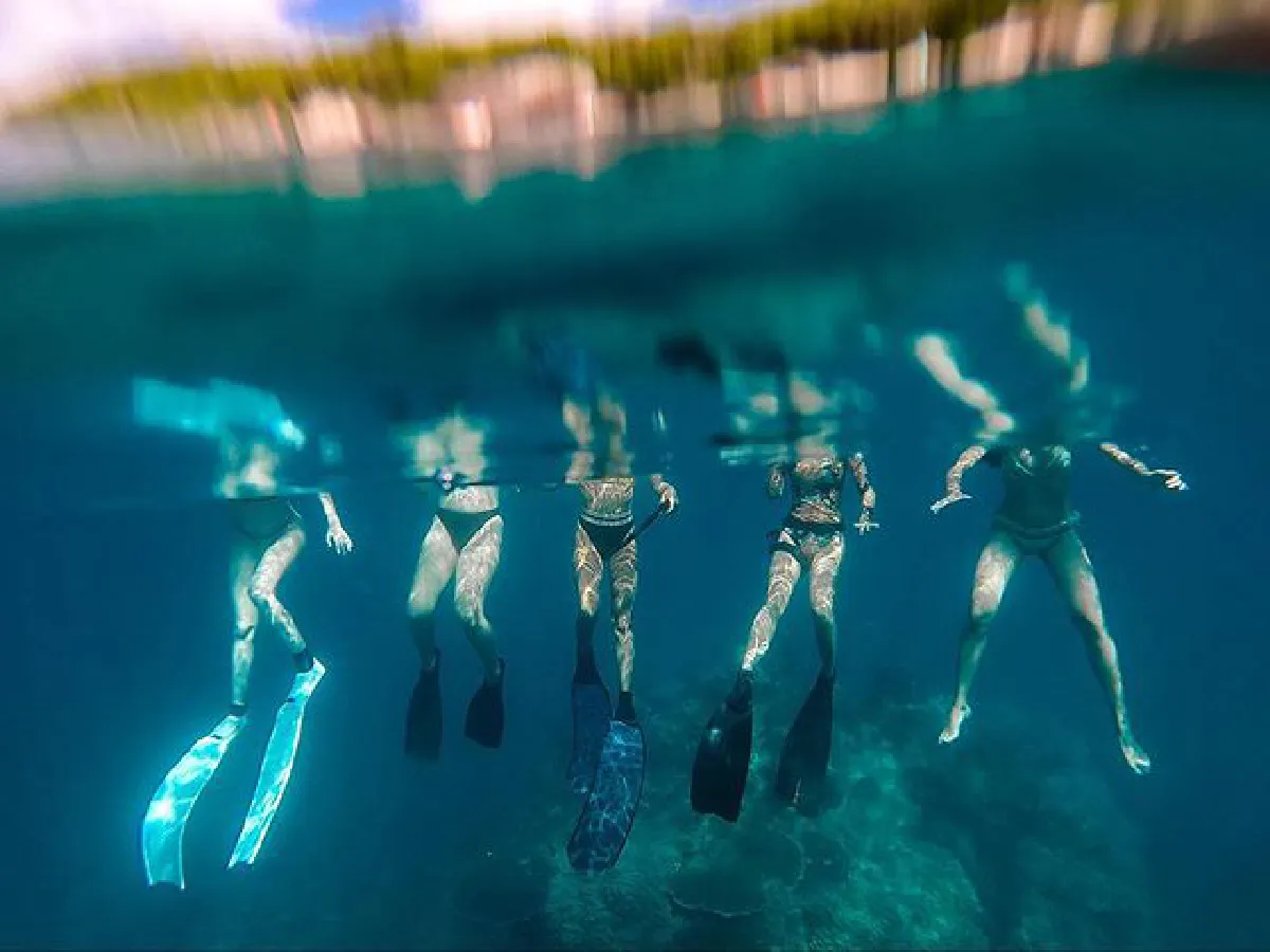 นท-วี-ซิลวี่-พลอย แท็กทีมสวมบิกินี่ดำน้ำเกาะเต่า พร้อมโชว์ลีลาสุดพลิ้ว (คลิป)