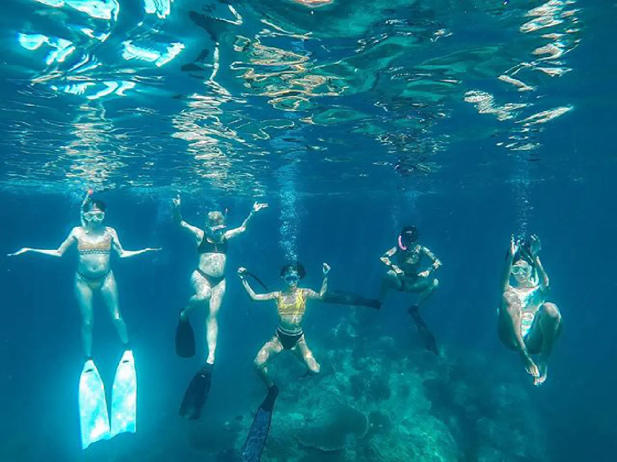 นท-วี-ซิลวี่-พลอย แท็กทีมสวมบิกินี่ดำน้ำเกาะเต่า พร้อมโชว์ลีลาสุดพลิ้ว (คลิป)