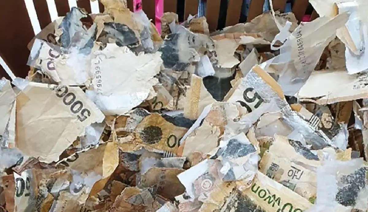 คนเกาหลีใต้แห่นำเงินเข้าไมโครเวฟฆ่าเชื้อโควิดจนไหม้ 