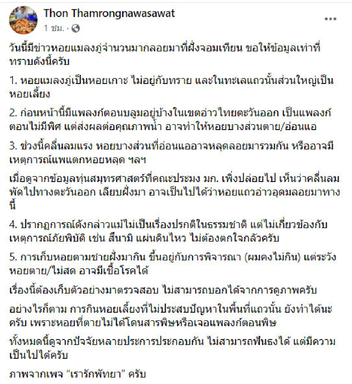 อ.ธรณ์ บอกไม่ต้องตกใจ "หอยลอยเกลื่อนหาดจอมเทียน" แต่ไม่ควรกิน