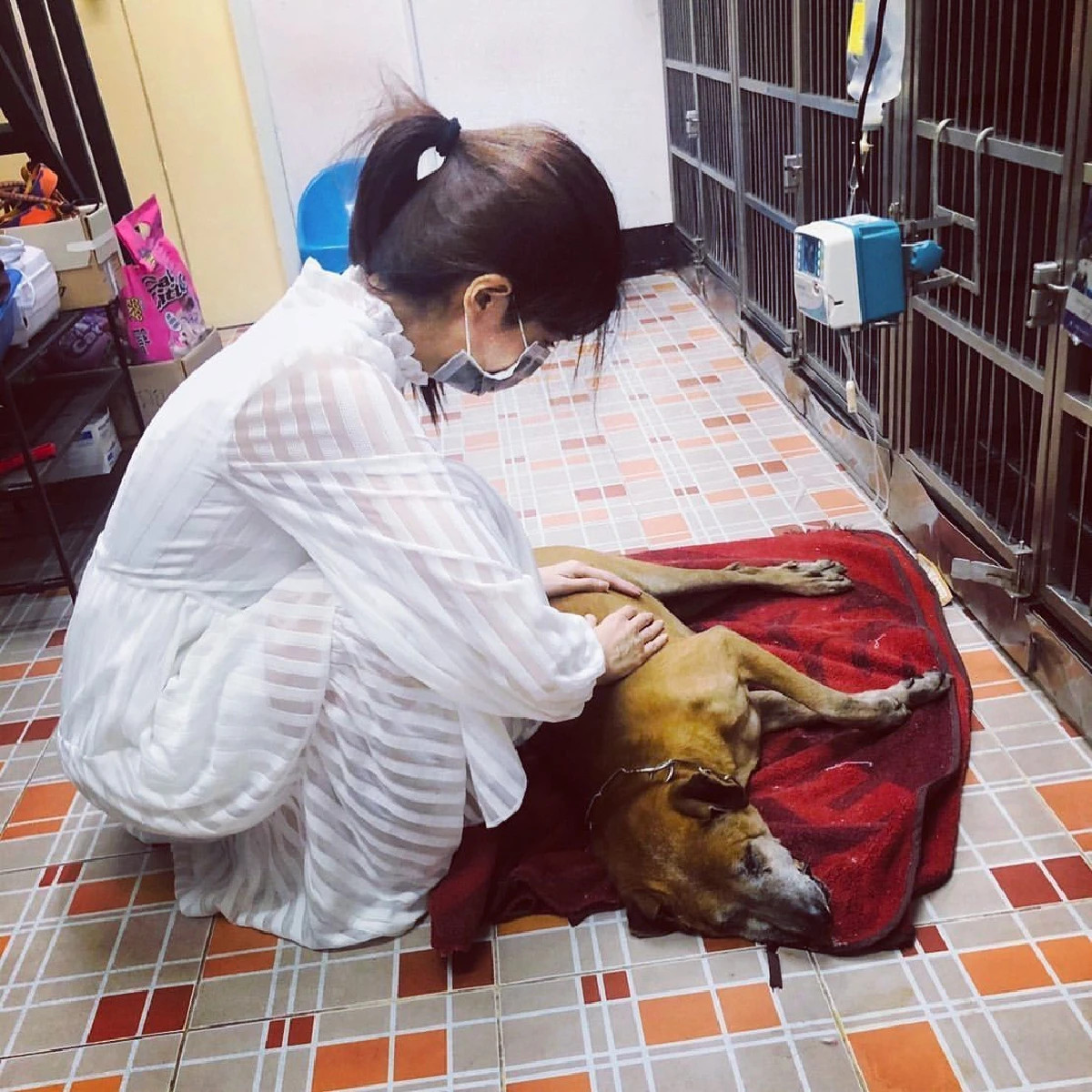  “โบว์ แวนดา" สุดเศร้า! สูญเสียน้องหมาสุดรักของ "ปอ ทฤษฎี"