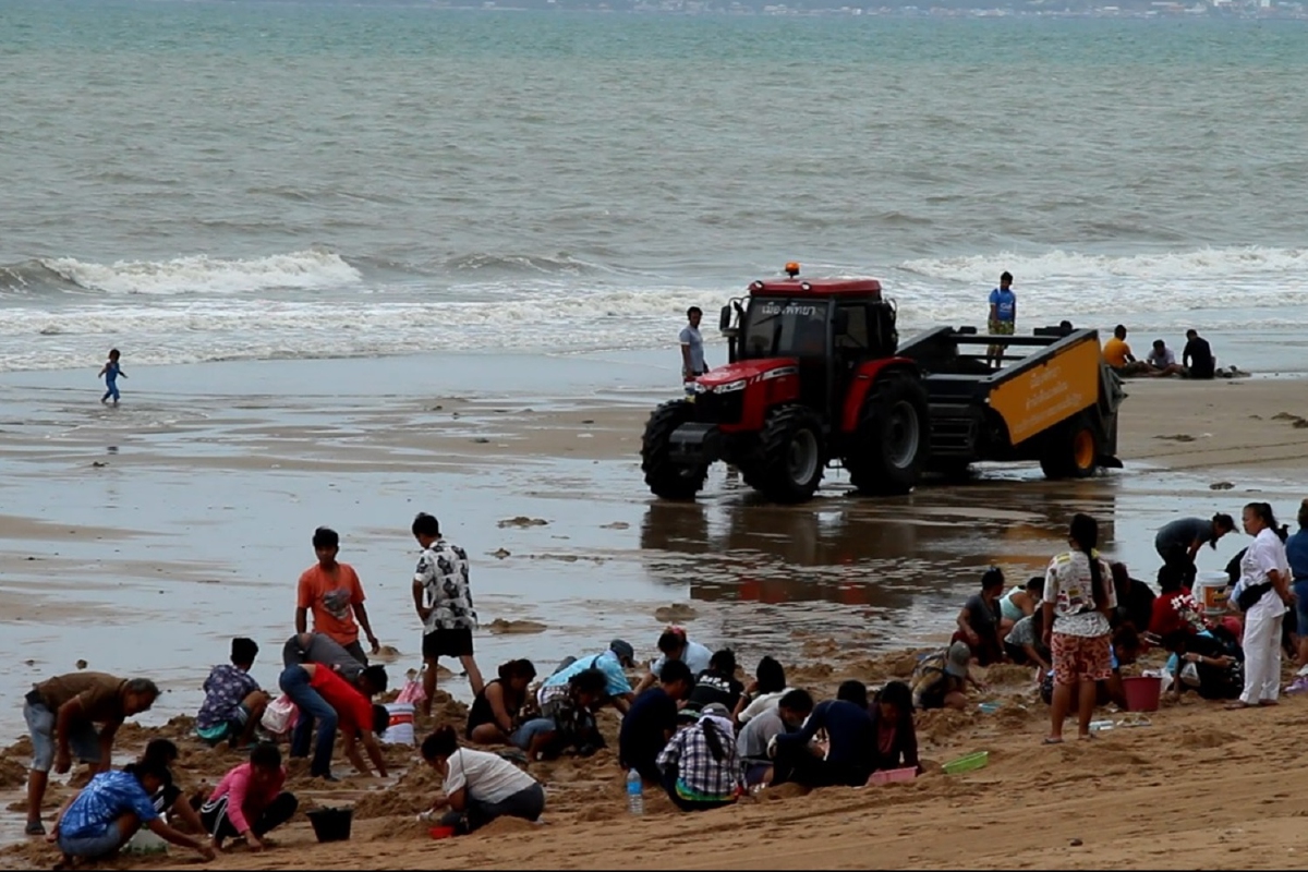 นักท่องเที่ยวยังแห่เก็บหอยทะเลลอยเกยตื้นหาดจอมเทียน นักท่องเที่ยวยังแห่เก็บหอยทะเลลอยเกยตื้นหาดจอมเทียน