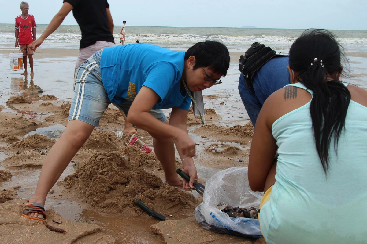 นักท่องเที่ยวยังแห่เก็บหอยทะเลลอยเกยตื้นหาดจอมเทียน