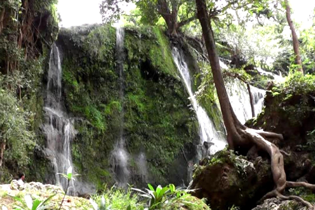 เพชรบูรณ์พบฟอสซิลใบไม้ยุคเพอร์เมียนสภาพสมบูรณ์