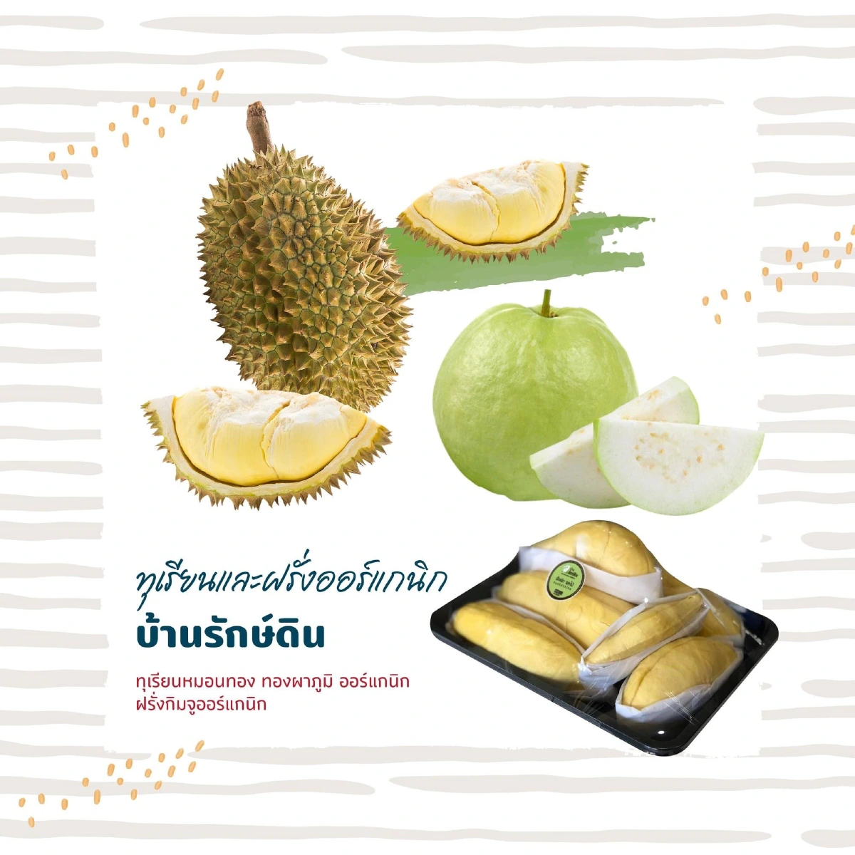 Farmer’s Market’s งานดีๆ ที่คนรักสินค้าออร์แกนิคต้องมา!!