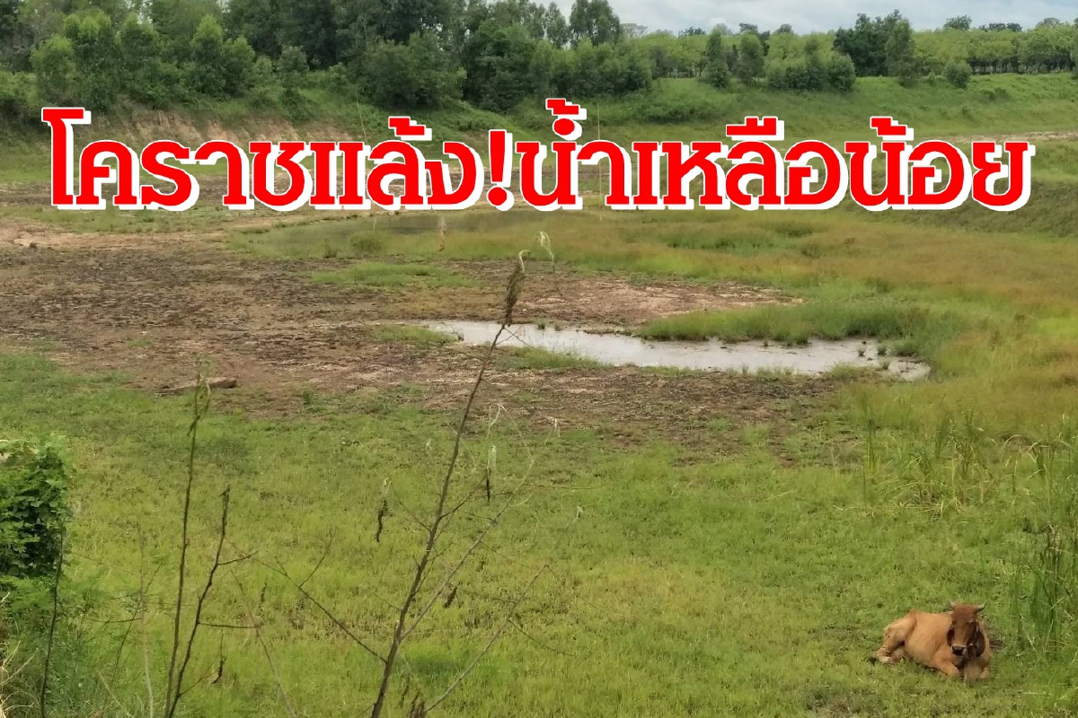 ช่วยด้วย!น้ำในอ่างโคราชเหลือ1%ไม่พอผลิตประปา ช่วยด้วย!น้ำในอ่างโคราชเหลือ1%ไม่พอผลิตประปา