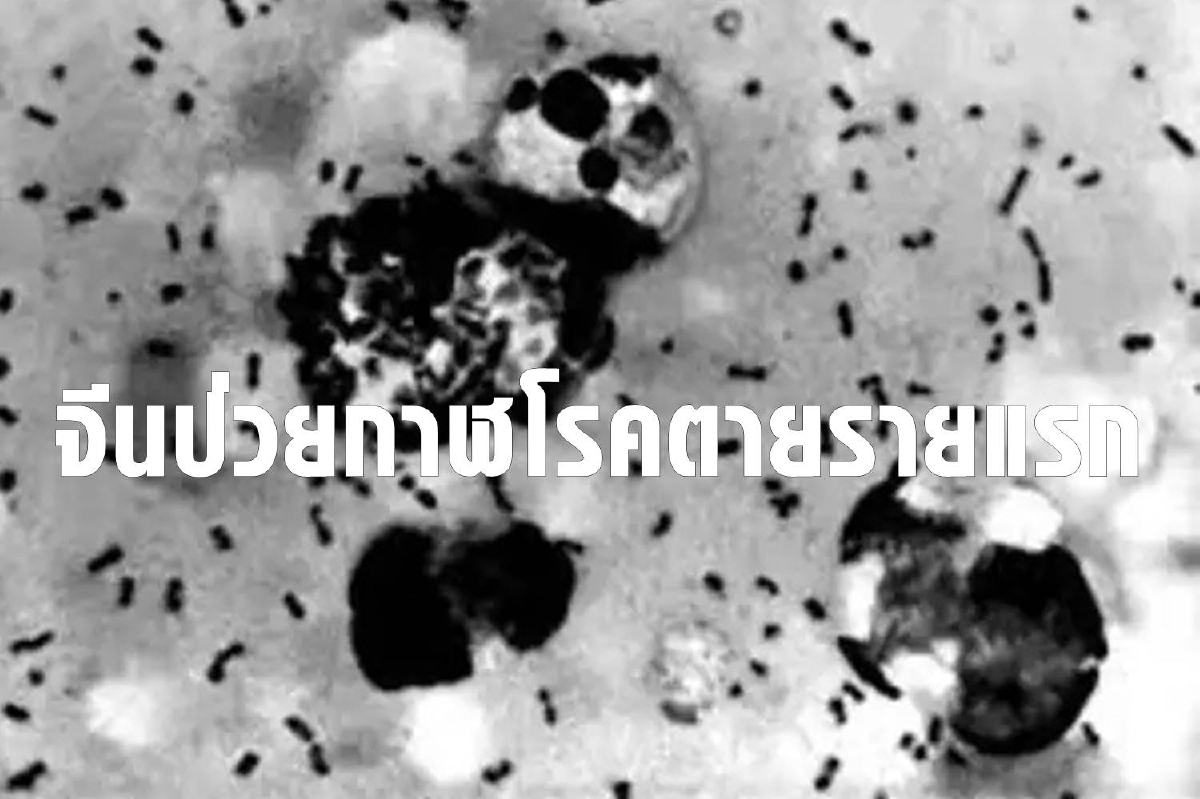 ตายรายแรก จีนสั่งปิดหมู่บ้านมองโกเลียในสกัดกาฬโรค ตายรายแรก จีนสั่งปิดหมู่บ้านมองโกเลียในสกัดกาฬโรค