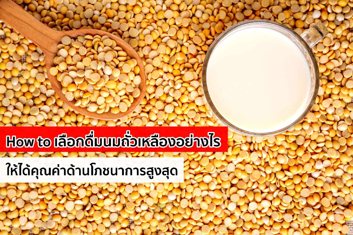 เลือกดื่มนมถั่วเหลืองอย่างไรให้ได้คุณค่า เลือกดื่มนมถั่วเหลืองอย่างไรให้ได้คุณค่า