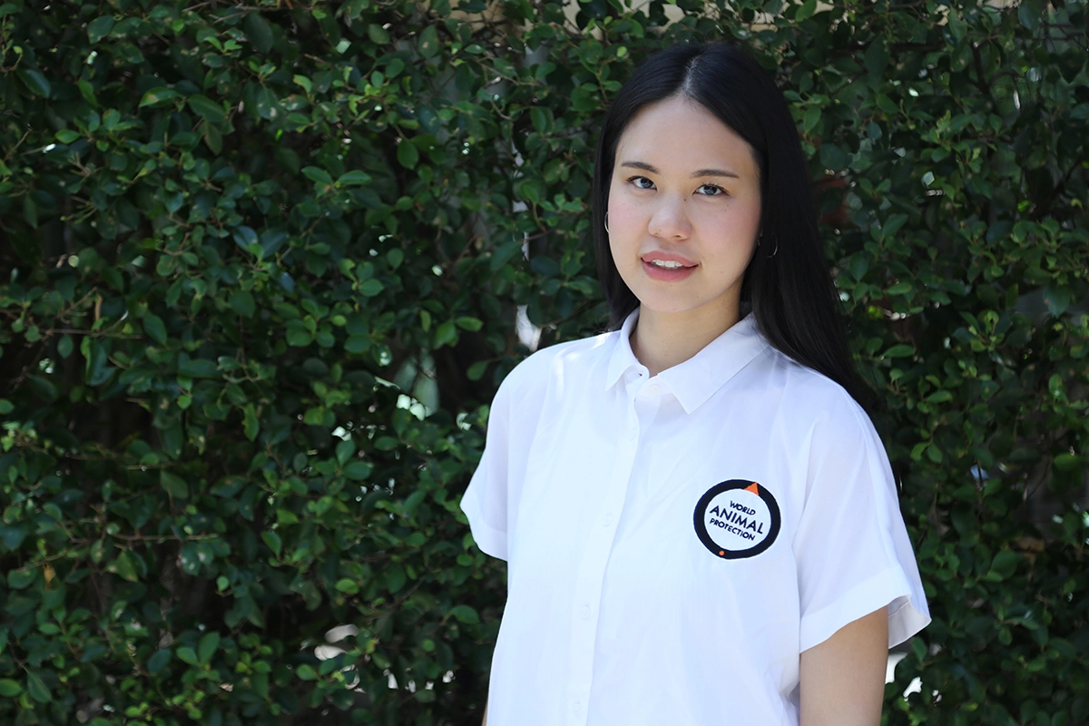 Covid-19 : วิกฤตและความเสี่ยงมหัตภัยโรคจากสัตว์สู่คน