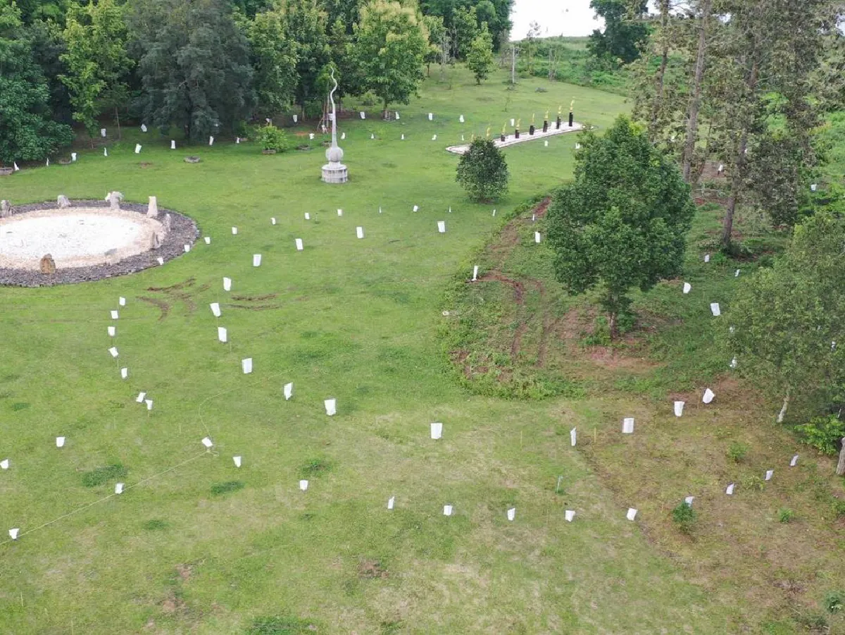 ตั๊ก บงกช ทำบุญซื้อต้นไม้ใหญ่ 4 แสนกว่าบาท ถวายเป็นเจดีย์ต้นไม้ 