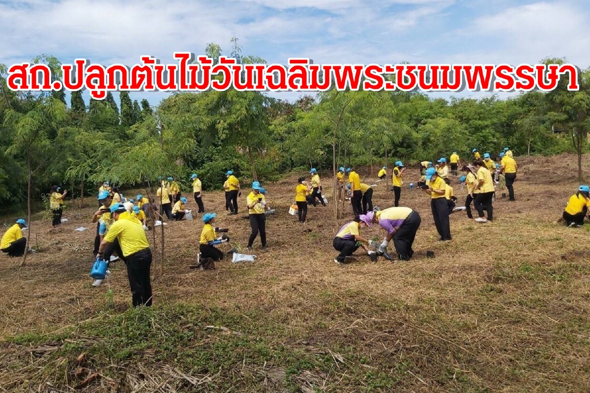 อธิบดี สถ.นำจิตอาสาร่วมปลูกต้นไม้ เพื่อถวายเป็นพระราชกุศล อธิบดี สถ.นำจิตอาสาร่วมปลูกต้นไม้ เพื่อถวายเป็นพระราชกุศล