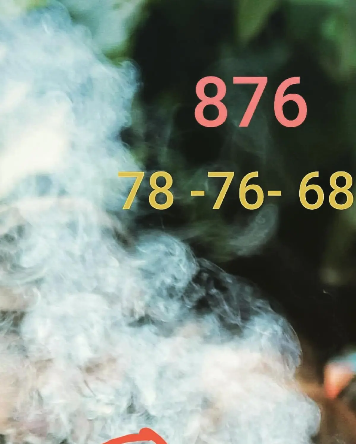 “มดดำ” ร่วมบวงสรวงศาลปู่อือลือ ดันจับสังเกตภาพควันธูปคล้ายเศียรพญานาค