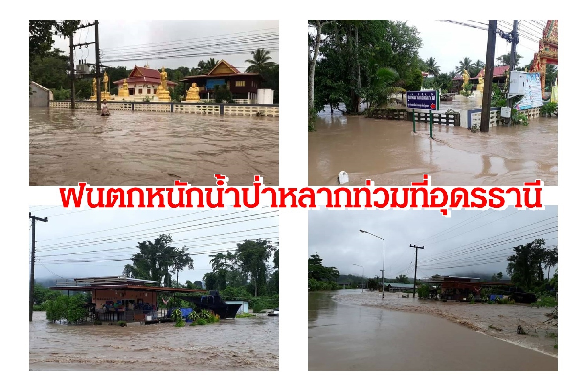 อุดรธานีเจอฝนถล่มน้ำป่าหลากท่วมอ.นายูง เสียหายหลายหมู่บ้าน อุดรธานีเจอฝนถล่มน้ำป่าหลากท่วมอ.นายูง เสียหายหลายหมู่บ้าน