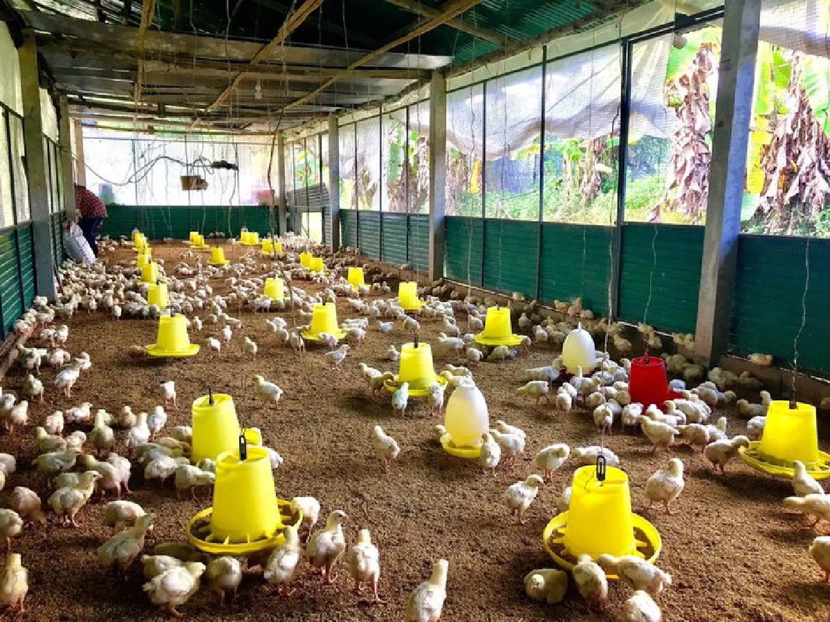  เปิดภาพ “สิรินทร์ฟาร์ม” ของ “สงกรานต์ กระจ่างเนตร์” สามี “แหม่ม“ หลังถูกยื่นฟ้องล้มละลาย 