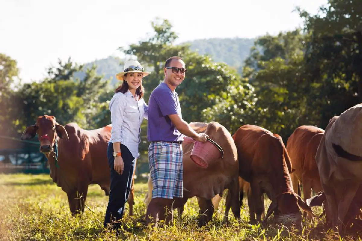  เปิดภาพ “สิรินทร์ฟาร์ม” ของ “สงกรานต์ กระจ่างเนตร์” สามี “แหม่ม“ หลังถูกยื่นฟ้องล้มละลาย 
