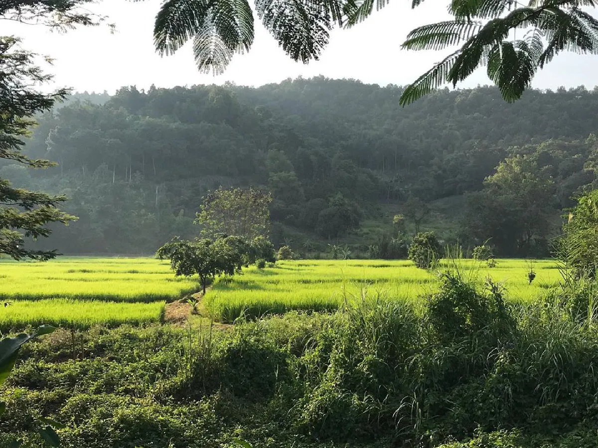  เปิดภาพ “สิรินทร์ฟาร์ม” ของ “สงกรานต์ กระจ่างเนตร์” สามี “แหม่ม“ หลังถูกยื่นฟ้องล้มละลาย 