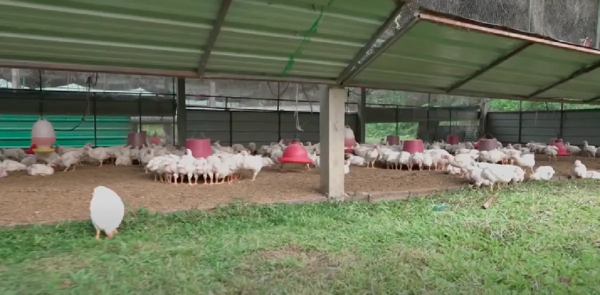  เปิดภาพ “สิรินทร์ฟาร์ม” ของ “สงกรานต์ กระจ่างเนตร์” สามี “แหม่ม“ หลังถูกยื่นฟ้องล้มละลาย 