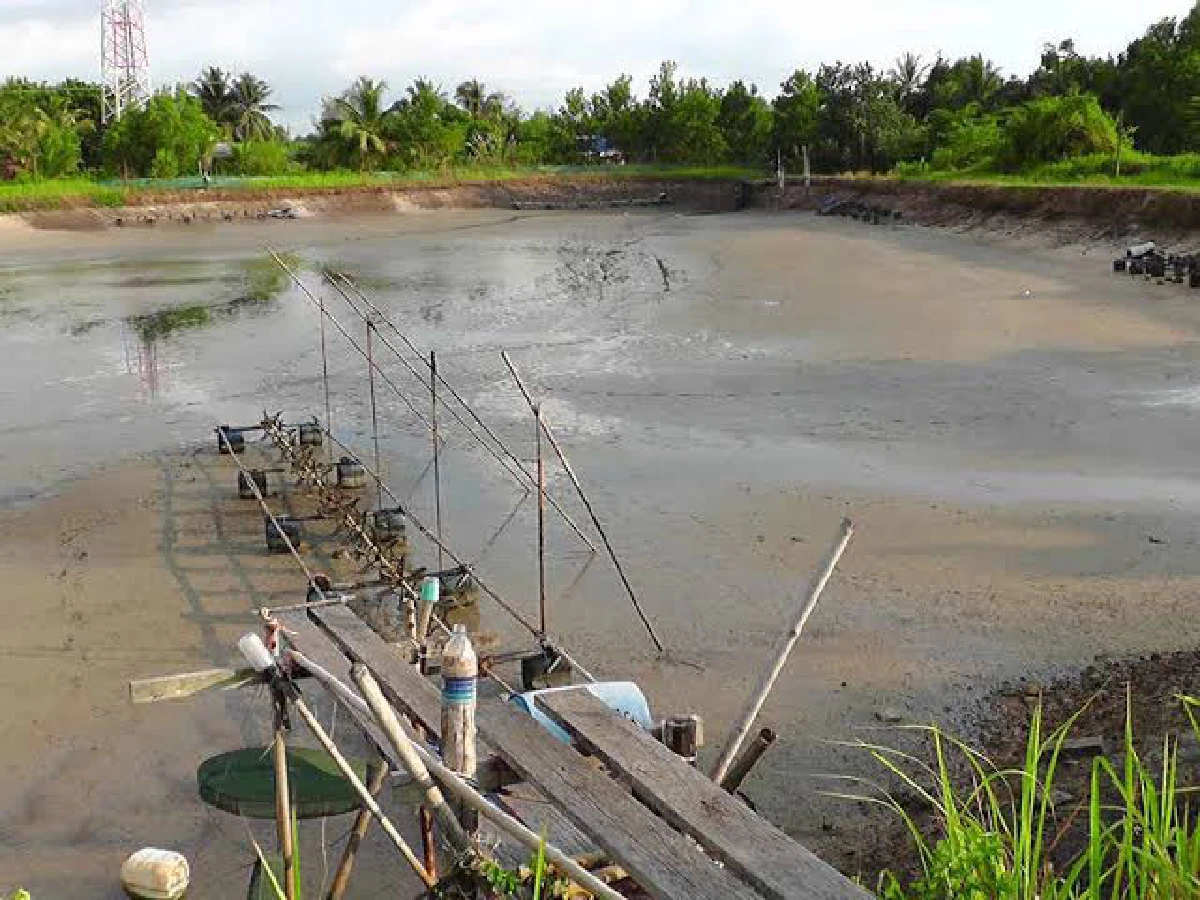 บุกยึดพื้นที่ป่าชายเลนอัมพวากว่า 200 ไร่คืนจากนายทุน