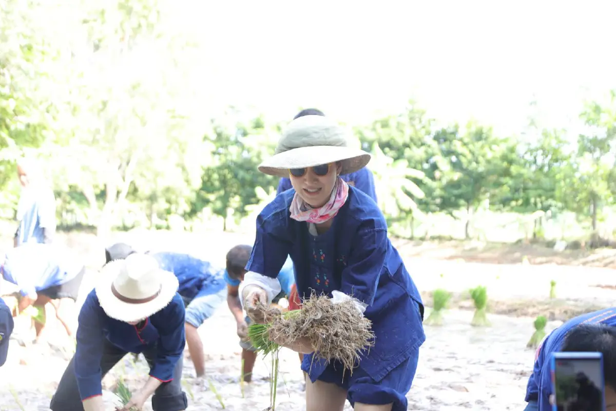 "เเพนเค้ก"ร่วมถอนกล้าดำนาบนพื้นที่โคกหนองนาดาราโมเดล