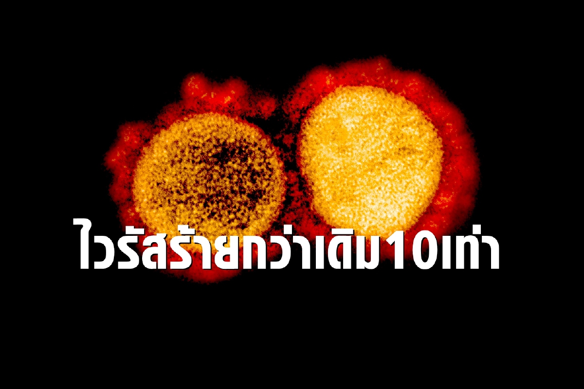 มาเลเซียพบสายพันธุ์ใหม่โคโรนาไวรัส ติดเชื้อได้มากกว่า10เท่า มาเลเซียพบสายพันธุ์ใหม่โคโรนาไวรัส ติดเชื้อได้มากกว่า10เท่า