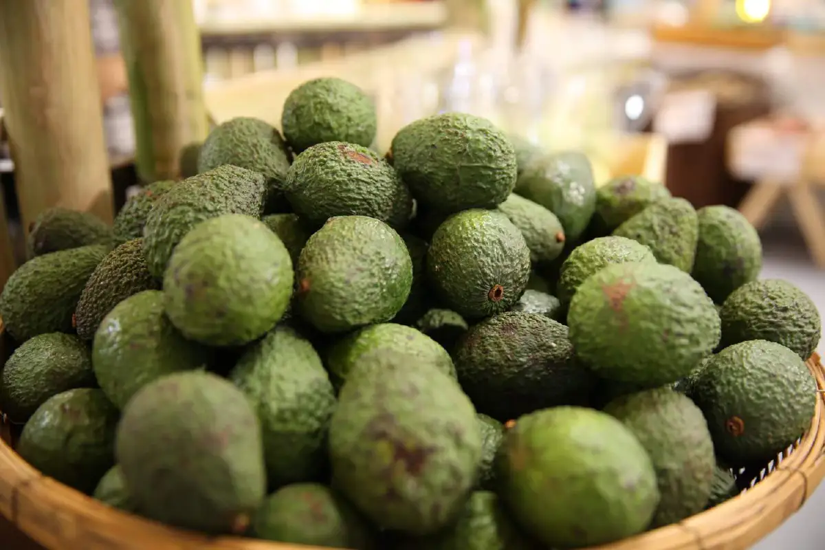 ช้อปช่วยเกษตรกรไทยในงาน “ผล-ละ-ไม้ ผล-ละ-มือ” 