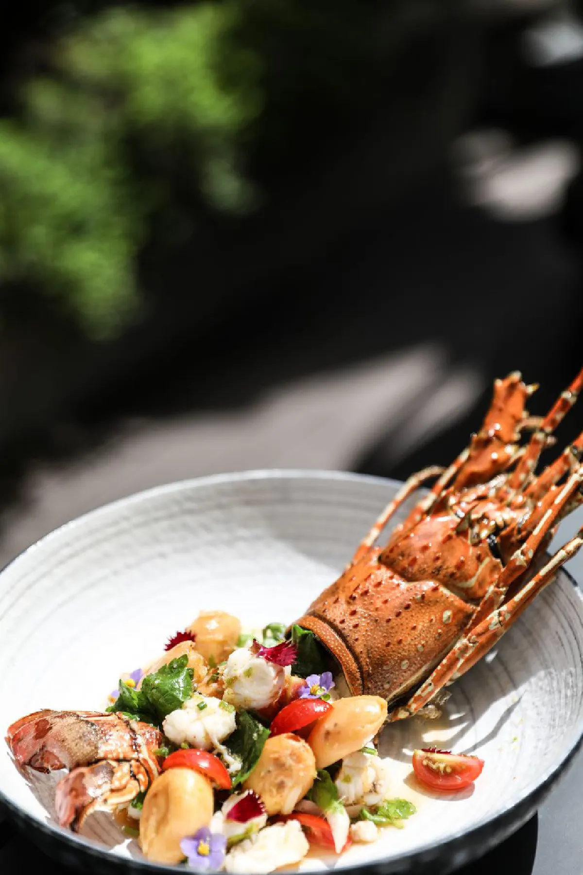 เนรมิตเมนูกุ้งมังกรผสานวัตถุดิบและสมุนไพรไทย