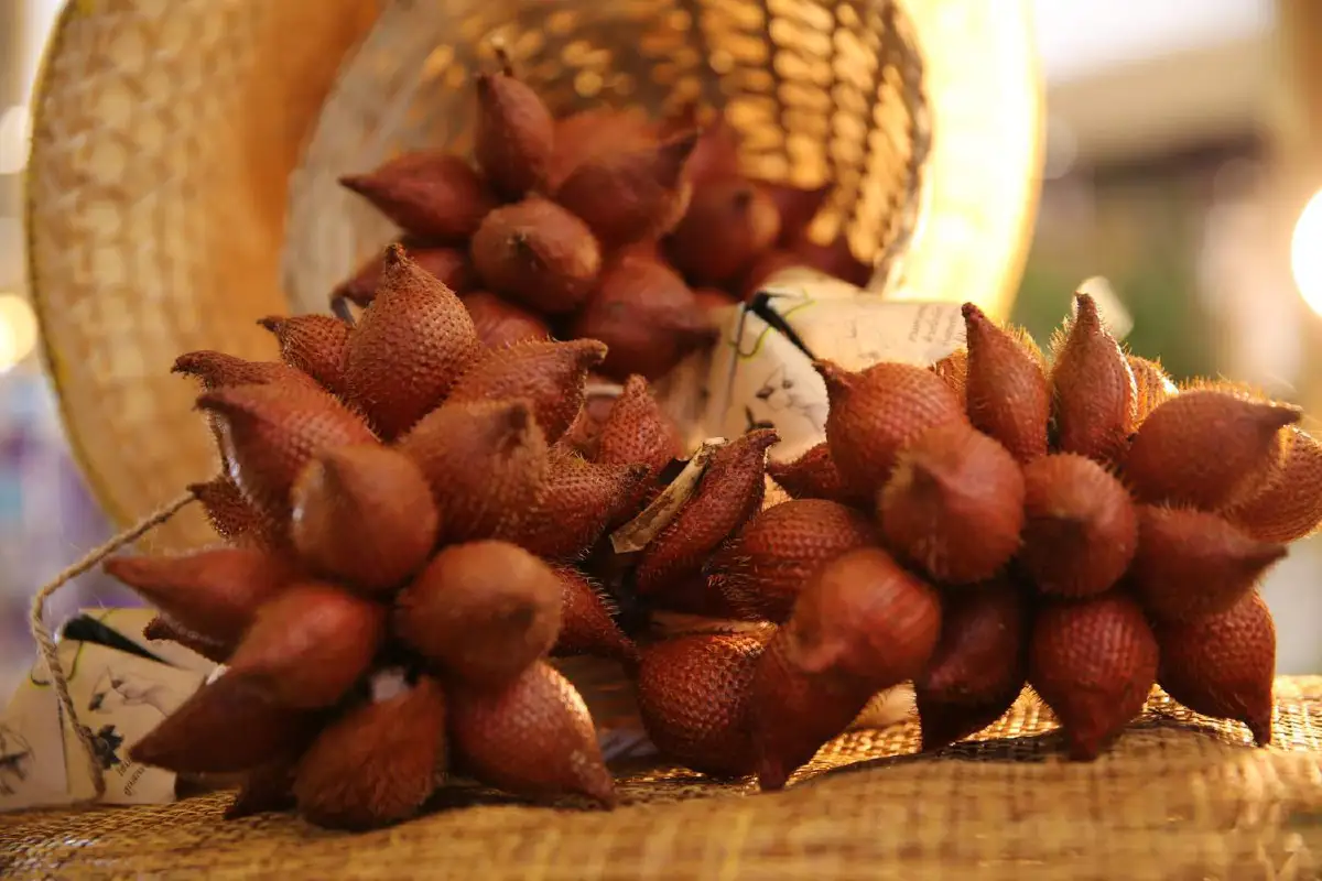 ช้อปช่วยเกษตรกรไทยในงาน “ผล-ละ-ไม้ ผล-ละ-มือ” 