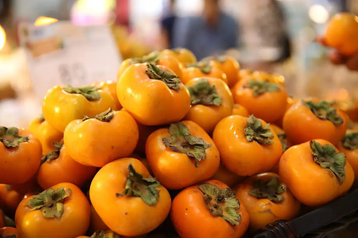 ช้อปช่วยเกษตรกรไทยในงาน “ผล-ละ-ไม้ ผล-ละ-มือ” 