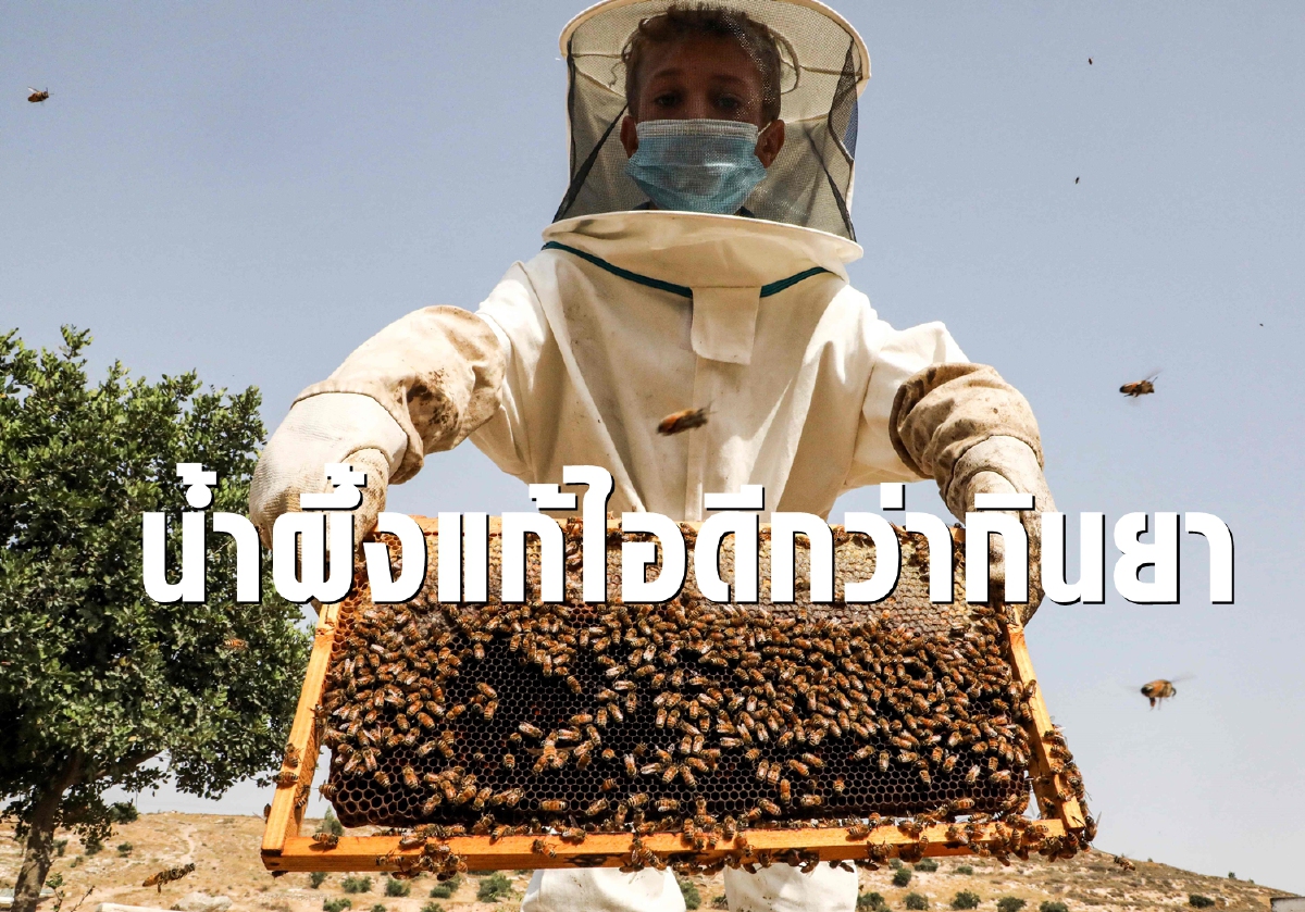 วิจัยเผยน้ำผึ้งรักษาหวัดหายเร็ว สรรพคุณเจ๋งกว่ายาปฏิชีวนะ วิจัยเผยน้ำผึ้งรักษาหวัดหายเร็ว สรรพคุณเจ๋งกว่ายาปฏิชีวนะ