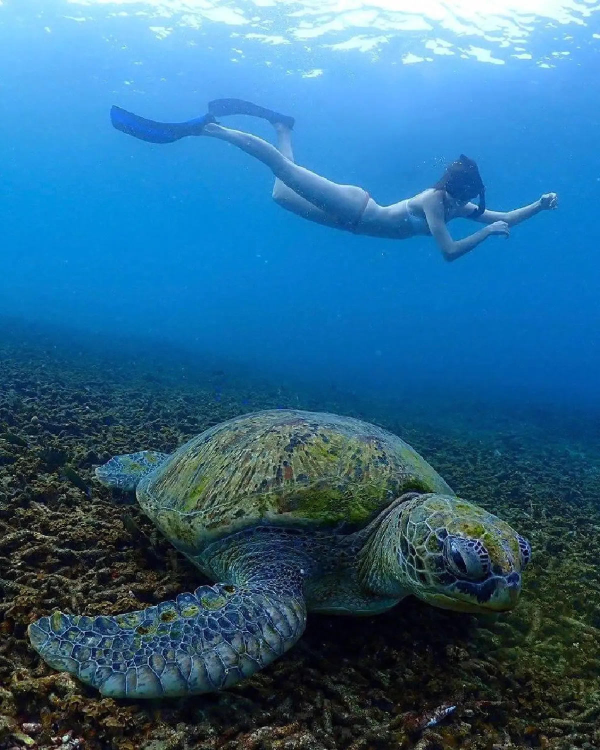 ซาบีน่า เดอะเฟซ โพสท่าสุดปังอวดความเซ็กซี่ไม่มียั้งริมหาด