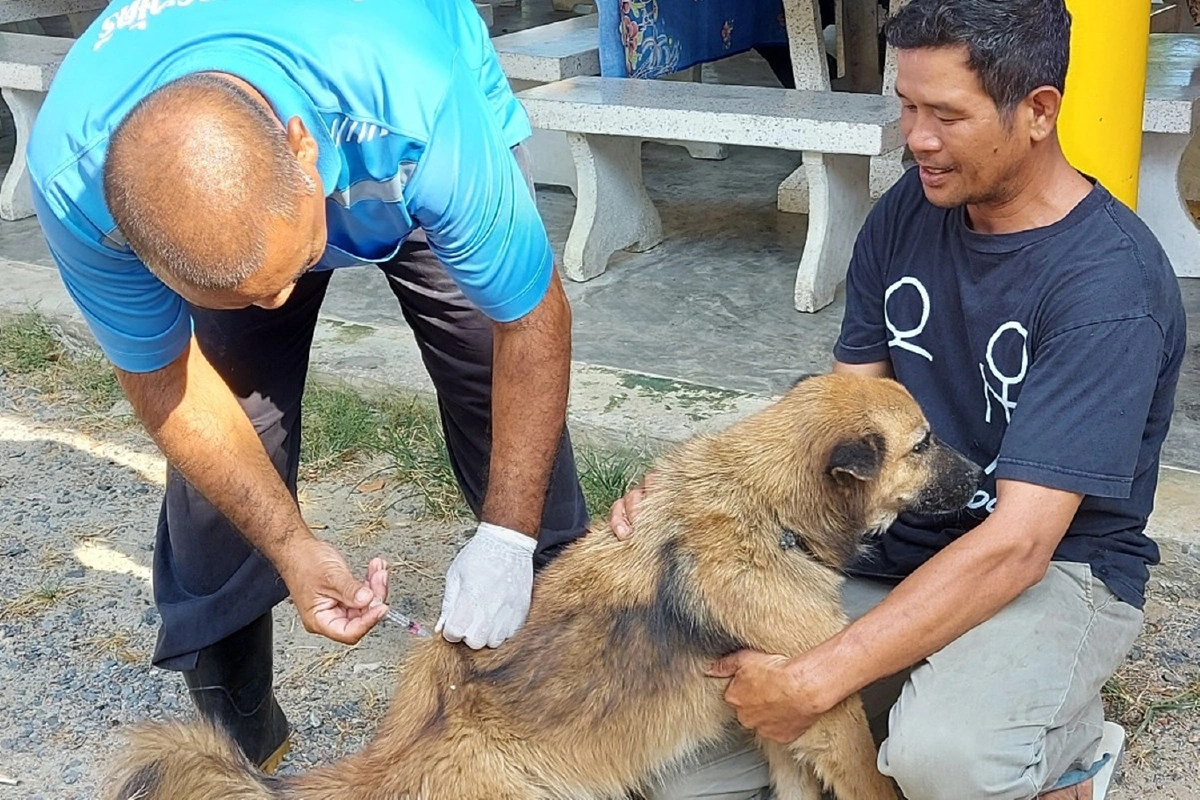 สถ.จัดอบรมครู ก.เร่งขับเคลื่อนงานป้องกันโรคพิษสุนัขบ้าในทุกอปท.