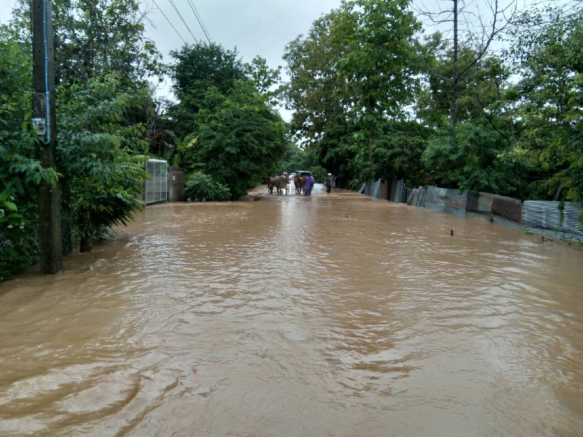 พะเยารับผลกระทบพายุฮีโกสชาวบ้านอพยพขนสิ่งของขึ้นที่สูง