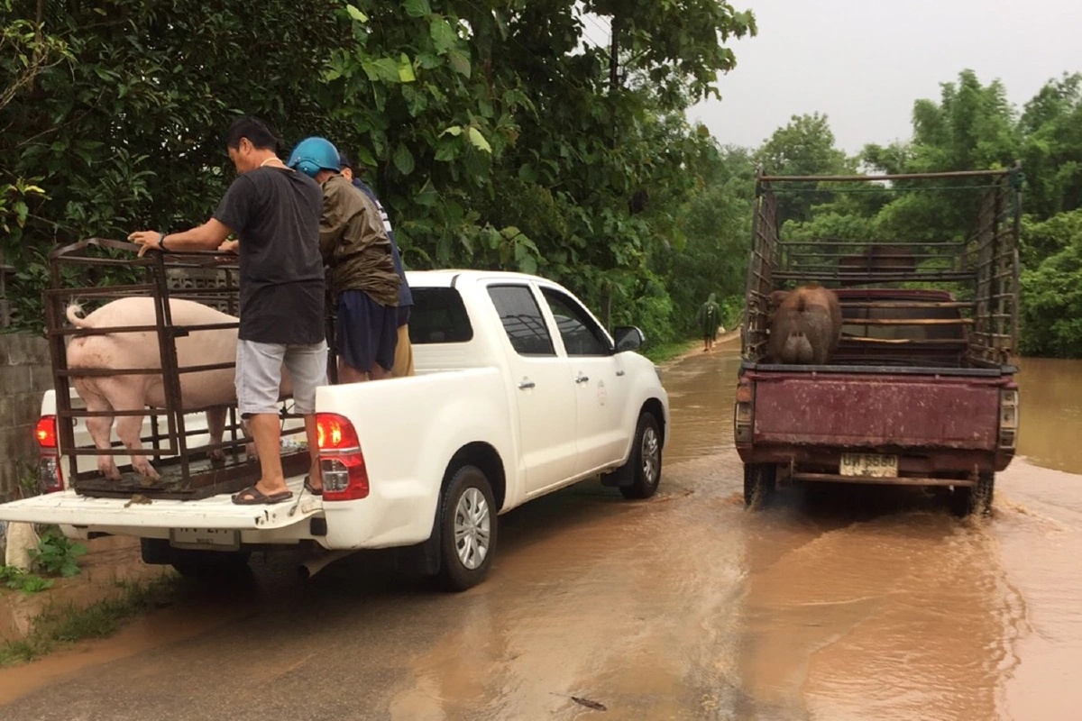 พะเยารับผลกระทบพายุฮีโกสชาวบ้านอพยพขนสิ่งของขึ้นที่สูง