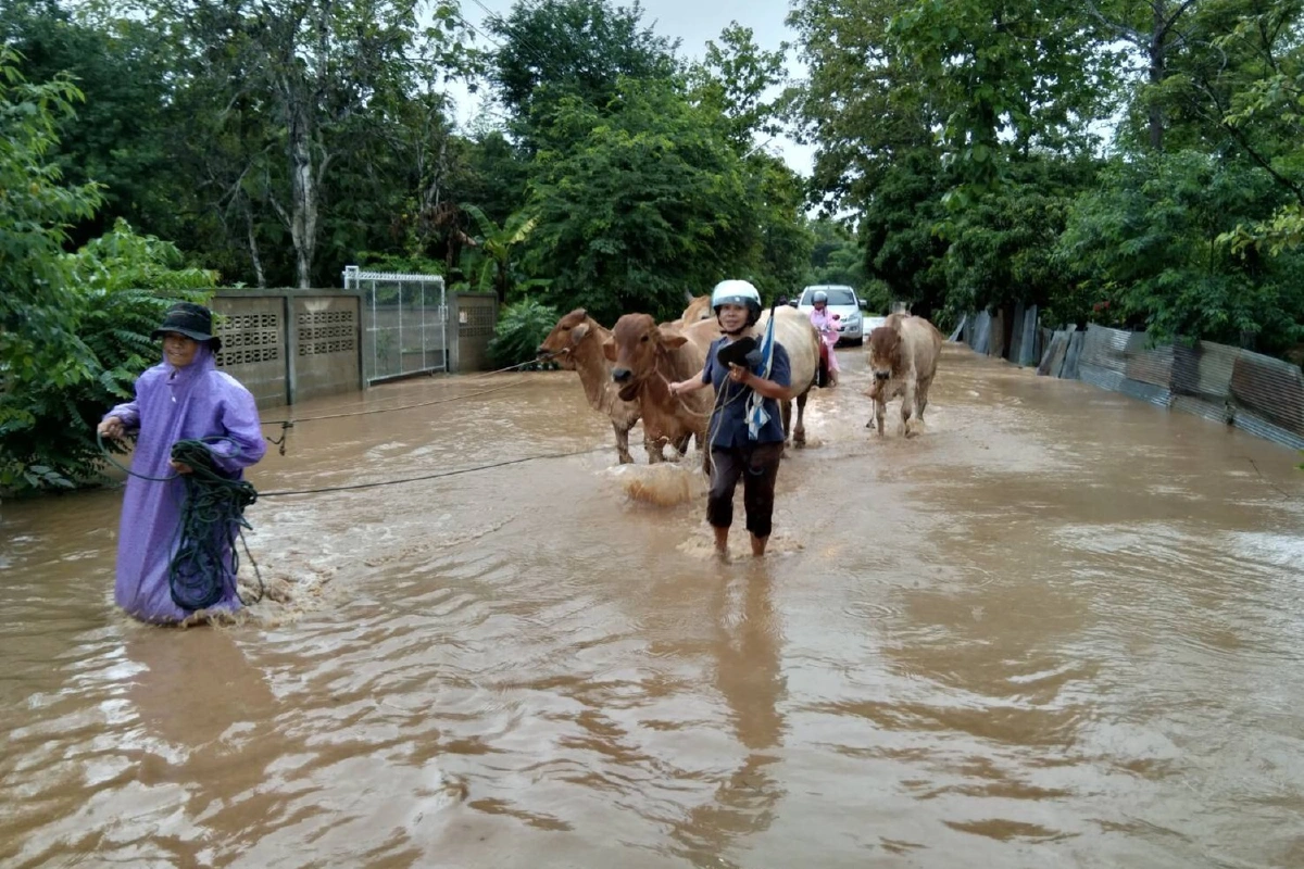 พะเยารับผลกระทบพายุฮีโกสชาวบ้านอพยพขนสิ่งของขึ้นที่สูง
