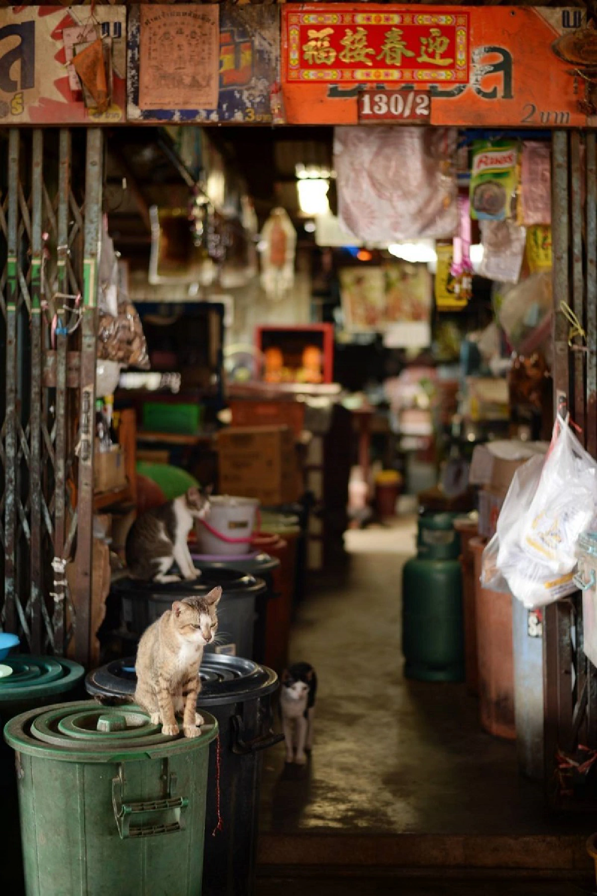 คิดถึงวันวานผ่านเส้นทางสุดประทับใจ 'สุพรรณบุรี'