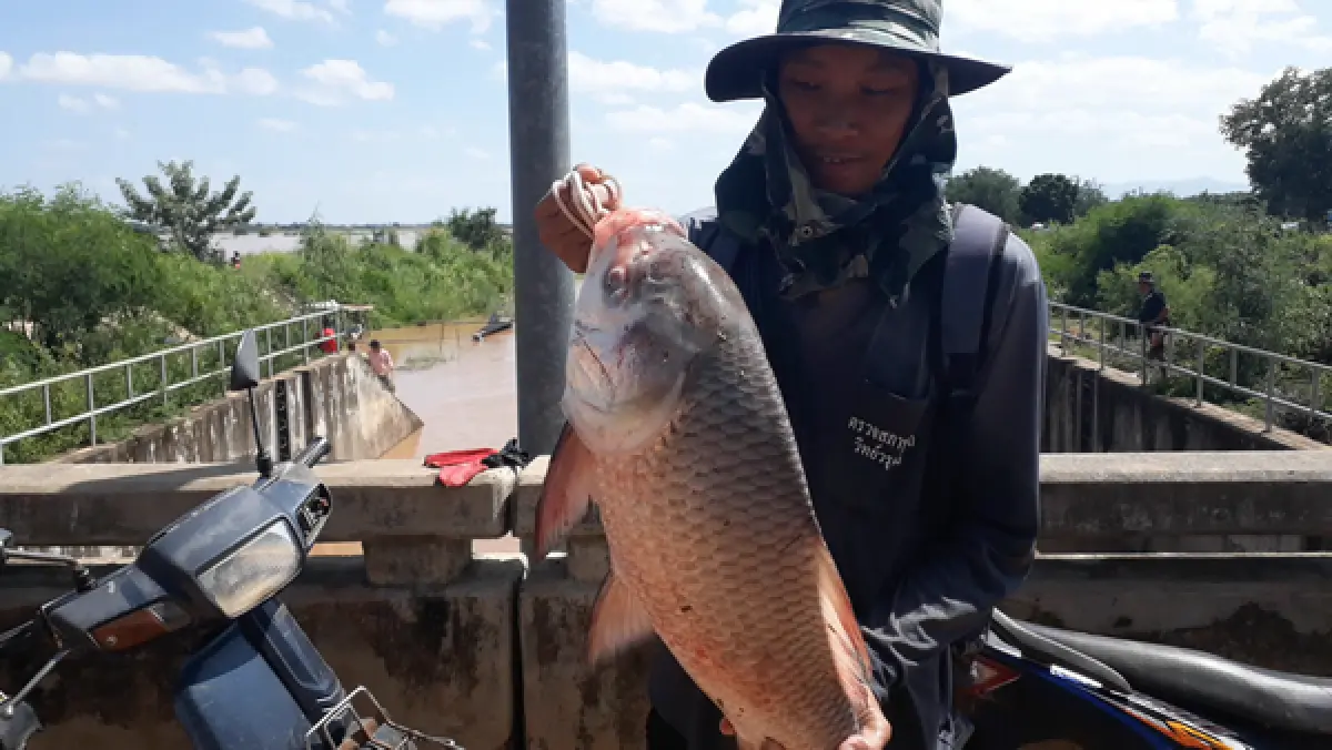 เปิดภาพมุมสูงน้ำท่วมสุโขทัย 3อำเภอยังอ่วม!