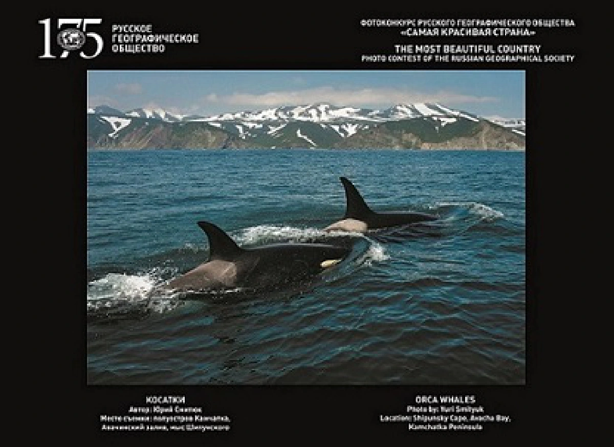 ชื่นชมภูมิทัศน์รัสเซีย ในนิทรรศการ The Most Beautiful Country