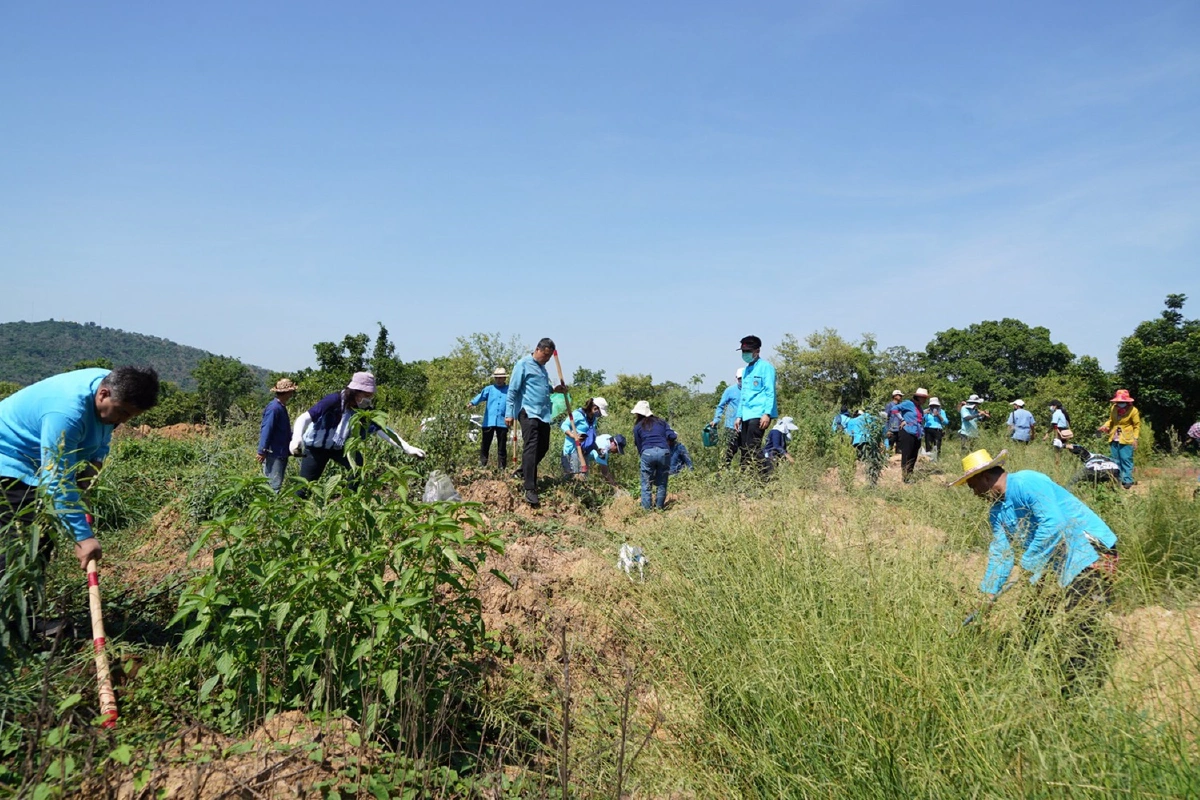 คนชัยนาทพร้อมใจปลูกป่าเฉลิมพระเกียรติ"พระพันปีหลวง"