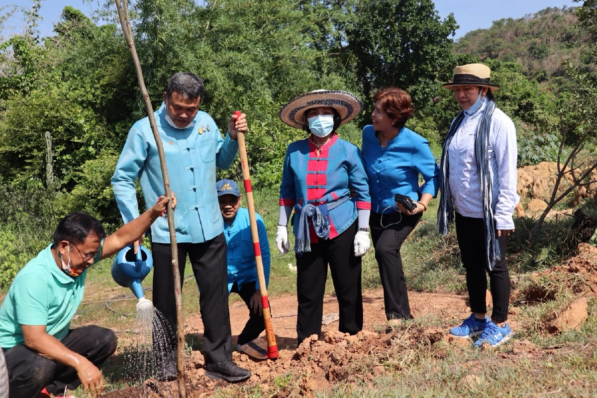 คนชัยนาทพร้อมใจปลูกป่าเฉลิมพระเกียรติ"พระพันปีหลวง"