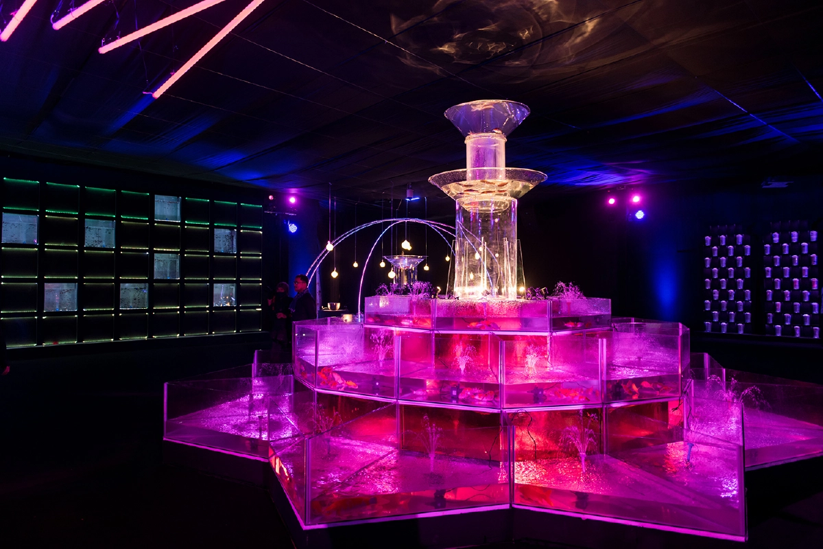 เที่ยวใกล้กรุง ดูพันธุ์ปลาสวยงาม ช้อปของดีเมืองราชบุรี