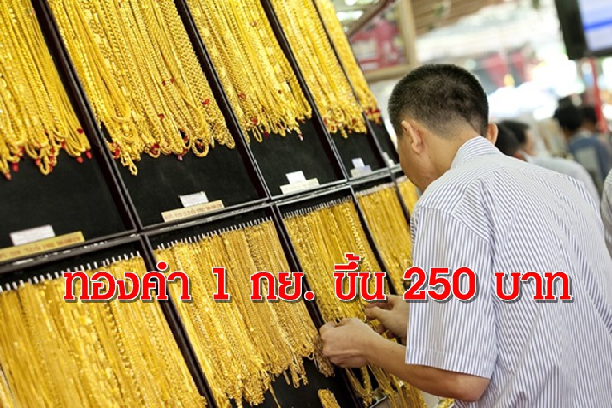 ทองคำ 1 กย. ขึ้น 250 บาท ทองคำ 1 กย. ขึ้น 250 บาท