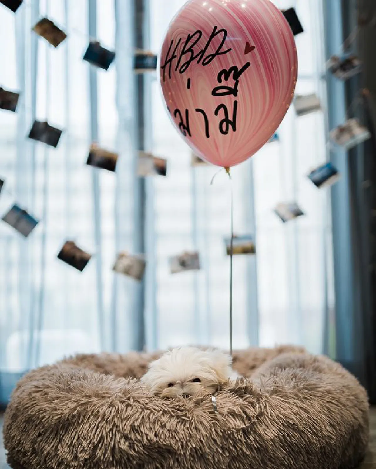 น้ำตาล สุดแฮปปี้! ไผ่ พาทิศ ทำเซอร์ไพรส์วันเกิด..ของขวัญที่จับได้พีคมาก