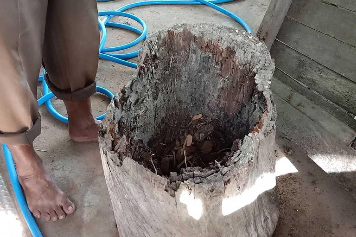 ชายวัย54เอาตอไม้บ้านหลังเดิมทำที่นั่งเล่นให้พ่อถูกฟ้องรับของโจร