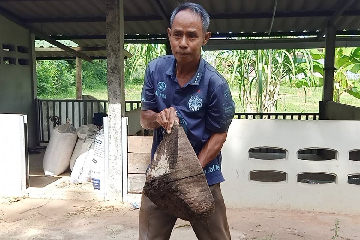 ชายวัย54เอาตอไม้บ้านหลังเดิมทำที่นั่งเล่นให้พ่อถูกฟ้องรับของโจร ชายวัย54เอาตอไม้บ้านหลังเดิมทำที่นั่งเล่นให้พ่อถูกฟ้องรับของโจร