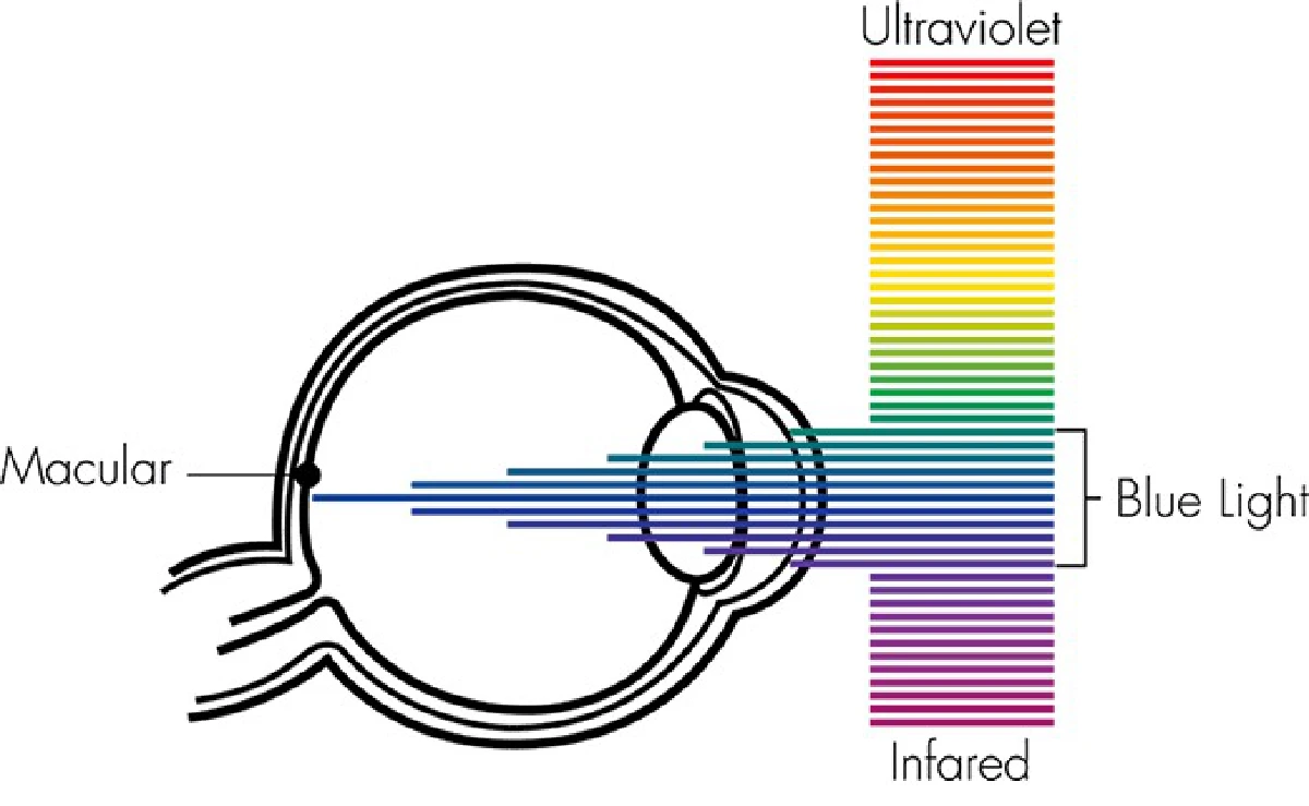 เลนส์ตัดแสงสีฟ้า จำเป็นหรือไม่?