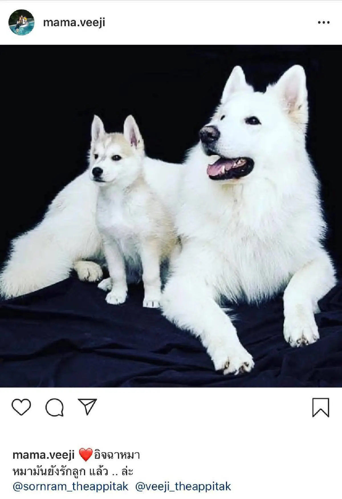 “ศรราม” แฉกลับอดีตภรรยา "ติ๊ก บิ๊กบราเธอร์" สุดแซ่บ! หลังฝ่ายหญิงโพสต์ภาพสุนัข บอก หมามันยังรักลูกแล้ว..ล่ะ”