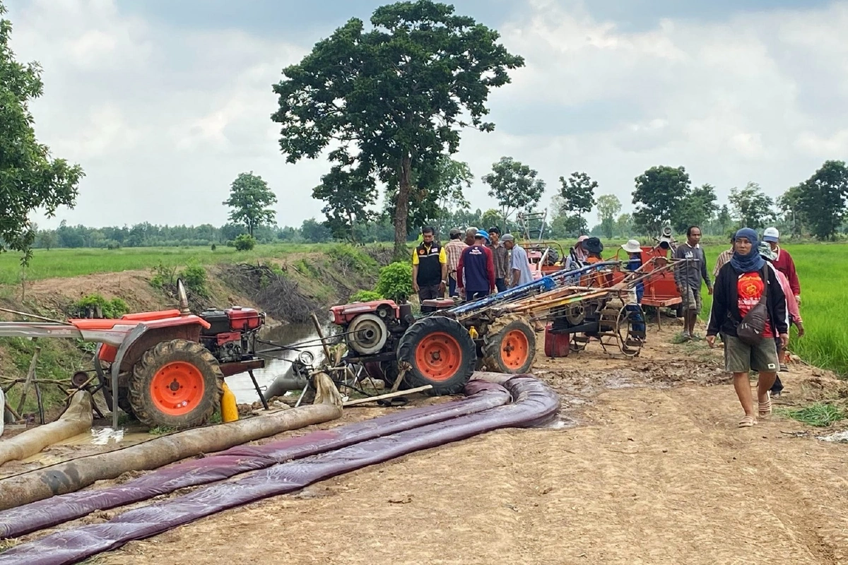 ภัยแล้งคุกคามเกษตรกรอ.บางมูลนาก นาข้าว5พันไร่ส่อเค้ายืนต้นตาย