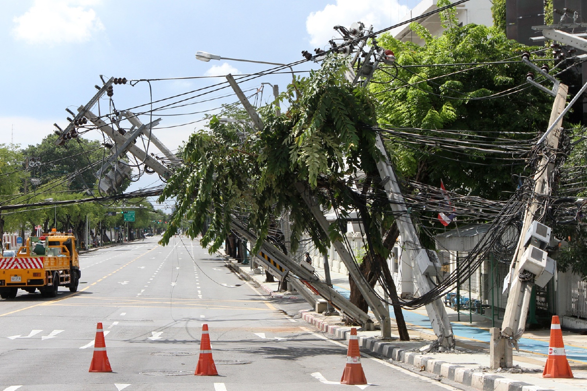 สั่งสำรวจต้นไม้ใหญ่อายุเก่าแก่ทั่วกรุงหวั่นหักโค่นช่วงฝนถล่ม สั่งสำรวจต้นไม้ใหญ่อายุเก่าแก่ทั่วกรุงหวั่นหักโค่นช่วงฝนถล่ม