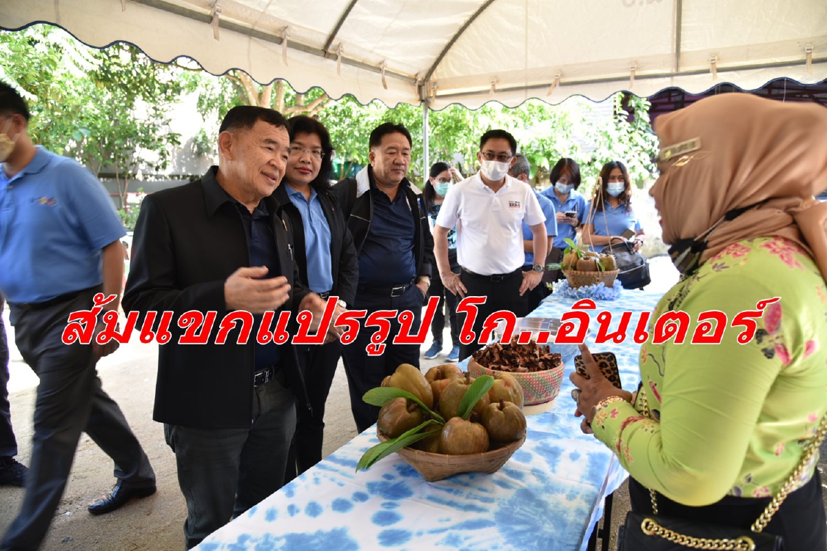 ‘พาณิชย์’ ชี้ช่องหนุนส้มแขกแปรรูป ใช้ FTA ขยายส่งออก ‘พาณิชย์’ ชี้ช่องหนุนส้มแขกแปรรูป ใช้ FTA ขยายส่งออก