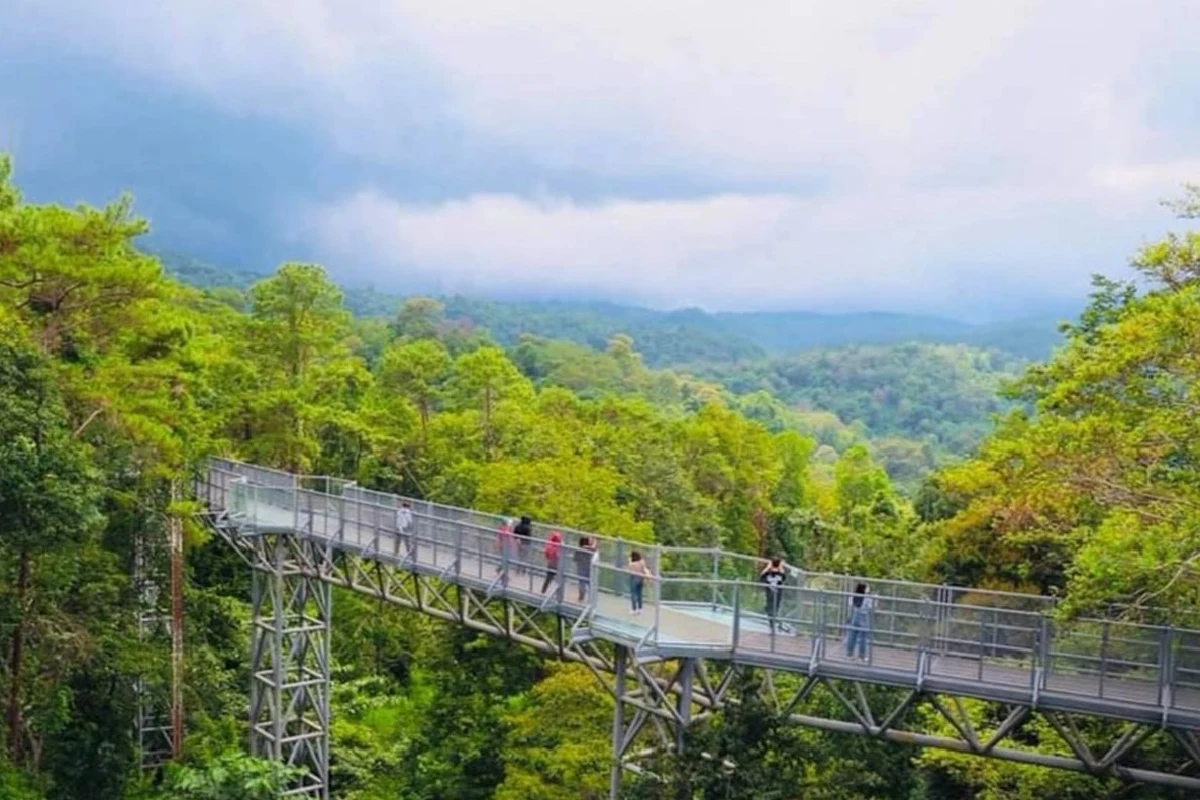 หยุดยาว 4 วันเงินสะพัดเชียงใหม่ 700 ล.ยอดจองห้องพักกว่า 43 %